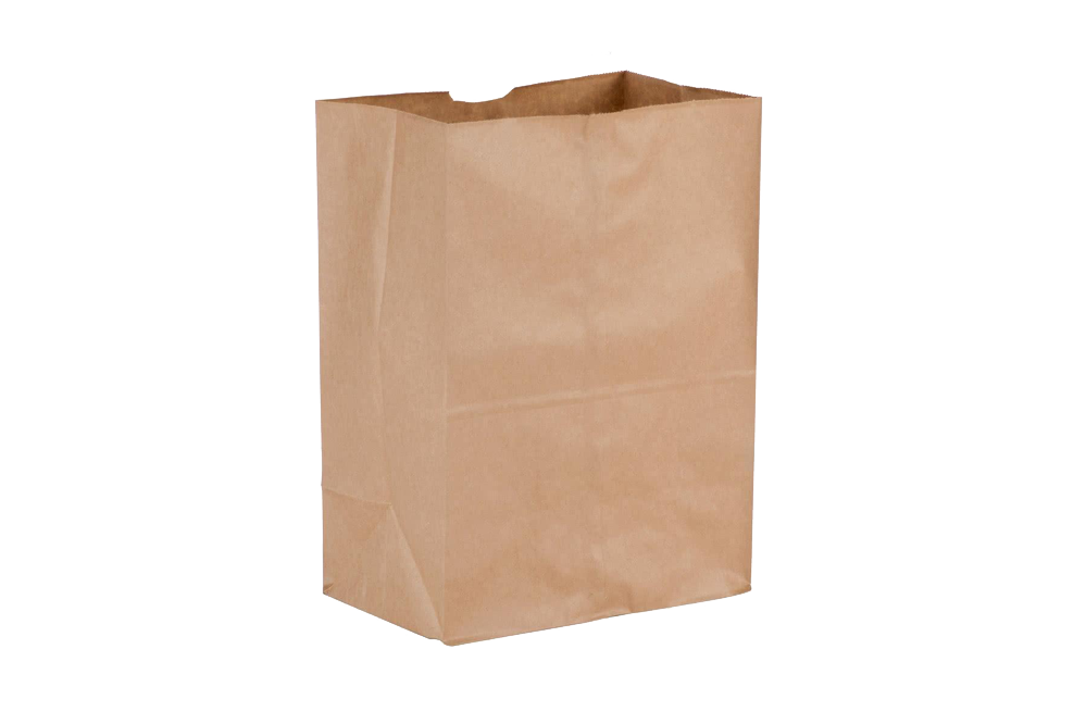 Paper Bags, Brown, 500pcs, #Heavy, #9.75+6 x16.5, #52 LB
