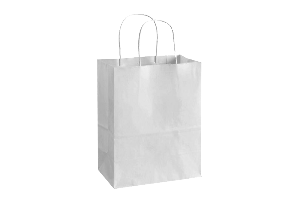 Paper Shopping Bags with handle, WHITE,  8x4x10,  250 pcs